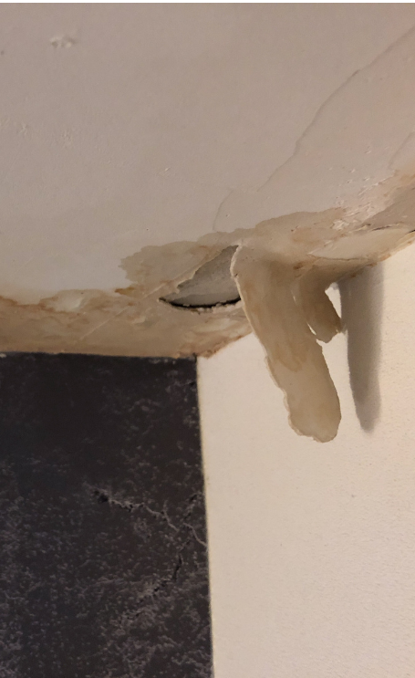 Rénovation après dégât des eaux à Nantes